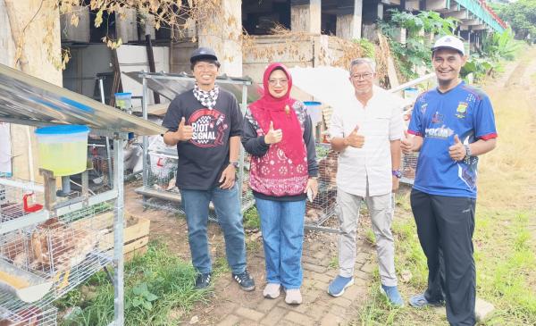 Wow! Jurnalis Depok Kelola 210 Ayam Petelur, Ikut Perkuat Ketahanan Pangan  dan Redam Inflasi