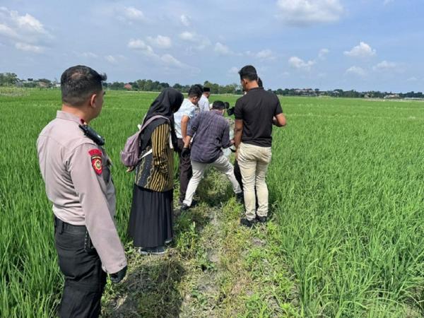 Seorang Petani Ditemukan Tak Bernyawa di Sawah Kelurahan Kalongan Purwodadi, Ini Penyebabnya