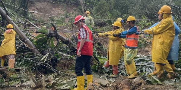 Cuaca Ekstrem Ganggu Pasokan Listrik di Sumut, PLN Kerahkan Ratusan Petugas