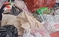 Suasana Lingkungan Desa Kertasana Saat Sampah Menumpuk di Pinggir Jalan