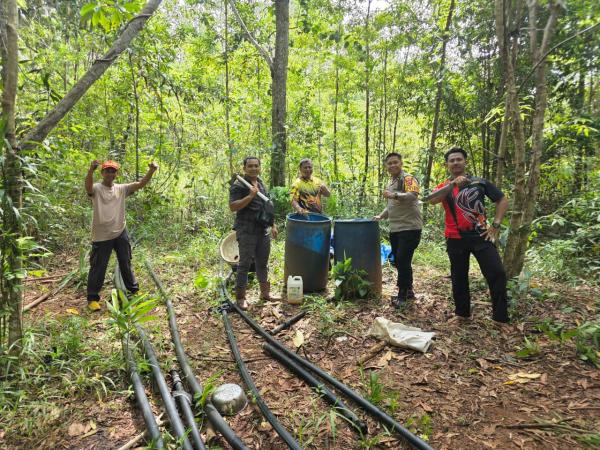 Operasi Sopi di Merauke: 50 Liter Bahan Rendaman Dimusnahkan Polisi