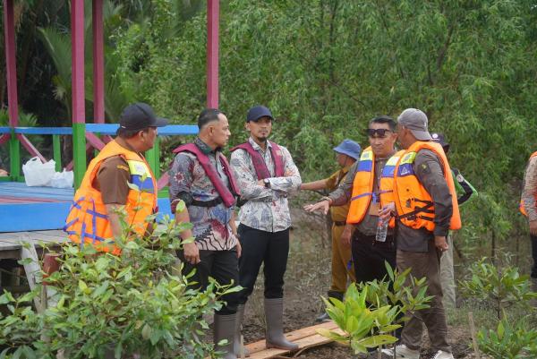 Program Mangrove Sumsel Diusulkan Dapat Penghargaan Tertinggi, Kemendagri - Setmilpres Cek Lapangan