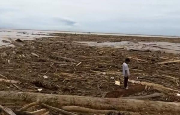 Aparat Penegak Hukum Diminta Turun Tangan Telusuri Kayu Gelondongan yang Terseret Banjir Sumut