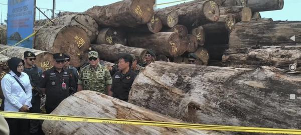 Kementerian Kehutanan Tetapkan Dirut PT BRN sebagai Tersangka Illegal Logging Mentawai