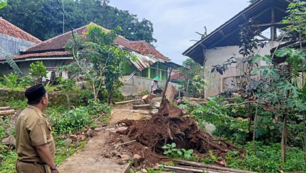Angin Kencang Tumbangkan Pohon di Kertawana, Dua Rumah Alami Kerusakan