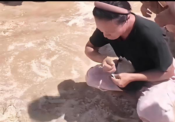 Viral Bantuan dari Udara Berceceran, Warga Taput Kumpulkan Beras yang Tercampur Tanah