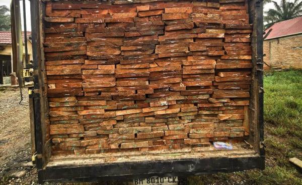 Angkut 10 Kubik Kayu Ilegal di Rohul, Dua Pelaku Ditangkap Polda Riau