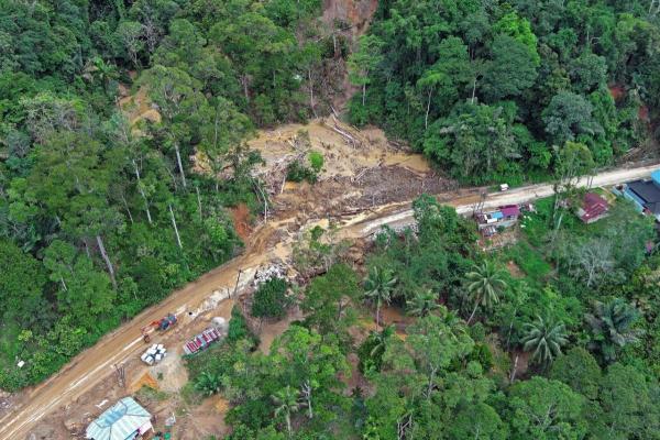 4 Pelaku Perusakan Hutan Pemicu Banjir Sumatera Disegel Pemerintah