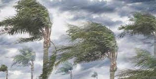 Dua Bibit Siklon 93W dan 91S Terdeteksi BMKG, Waspada Hujan Lebat dan Gelombang Tinggi!