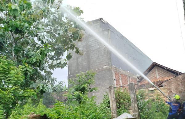 Meresahkan, Damkar Ponorogo Evakuasi Sarang Tawon Vespa Berukuran Besar