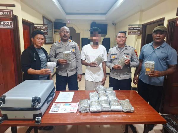 Pemuda Dibekuk di Pelabuhan Jayapura, Selundupkan 3,9 Kg Ganja dalam Koper