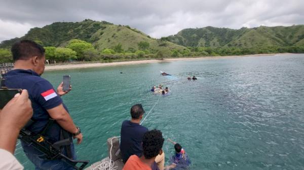 Perburuan Rusa Berujung Baku Tembak, Aparat Selamatkan Satwa Dilindungi di Pulau Komodo