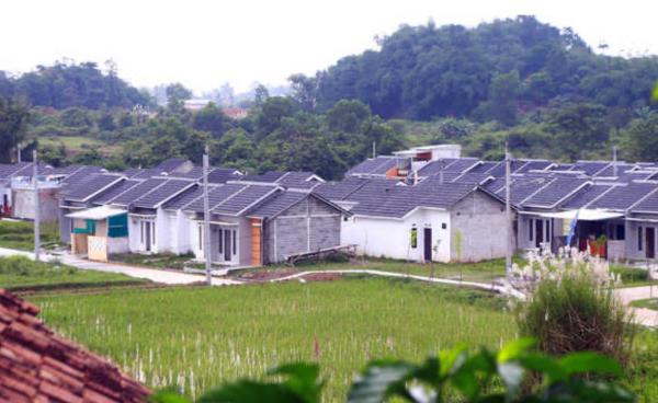 Sawah Beralih Jadi Perumahan, Petani Kabupaten Tangerang Kian Resah