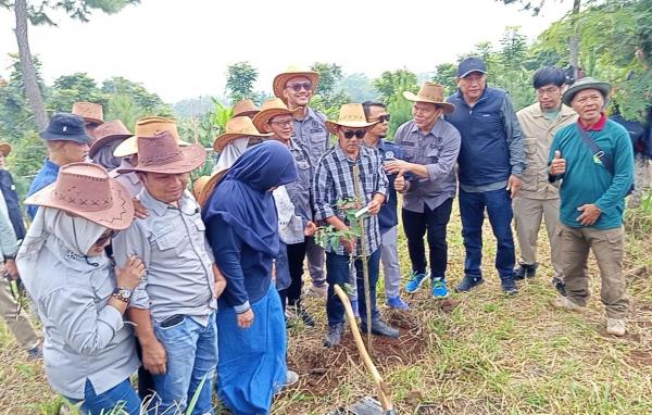 DPRD Tinjau Arboretum Arunika dan Tanam Pohon di Lereng Ciremai