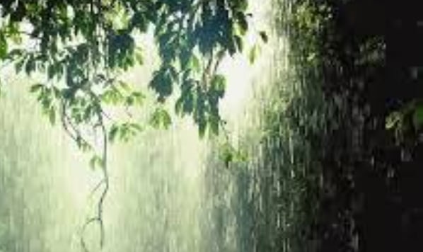 Tanggerang Selatan Diguyur Hujan Lebat, Ini Panduan Doa Orang Muslim