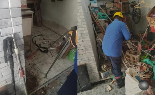 Ular Kobra 2 Meter Masuk Rumah Warga, Damkarmat Bojonegoro Lakulan Evakuasi