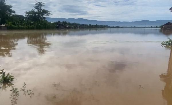 Akibat Hujan Deras, Area Persawahan di Ponorogo hingga Jalan Antar Kota Terendam Banjir
