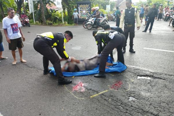 Kecelakaan Ponorogo Hari Ini, Kakek Bawa Kambing Tewas Tertabrak Mobil Box