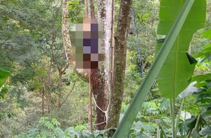 Seorang Pekerja Ditemukan Tewas Tersangkut di Pohon Durian Ngebel Ponorogo