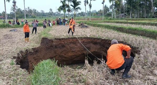 BREAKING NEWS Fenomena Sinkhole Sedalam 5,7 Meter, Sawah Warga di Situjuah Limo Nagari Amblas