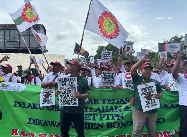 Pohon Kopi Ditebang, Aset Negara Dirusak,  Ribuan Pekerja PTPN XII Gelar Aksi Desak Penegakan Hukum