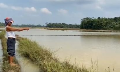 Banjir Kembali Rendam Sawah di Lebak, Ratusan Hektare Terdampak
