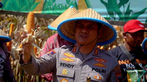 Panen Jagung Melimpah, Hasil Kolaborasi Polres Pemalang dan Petani