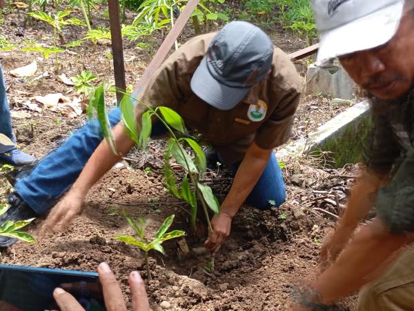 Kolaborasi Multi Pihak Tanam Pohon Bernilai Ekonomi di Kawasan Hutan Madiun