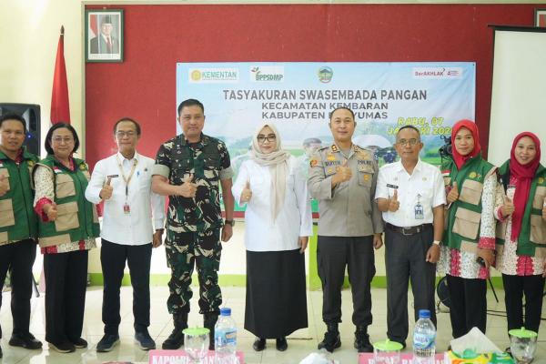 Produksi Padi di Banyumas Naik Jadi 380.000 Ton