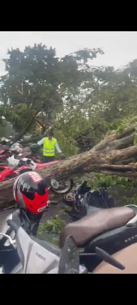 Angin Kencang Tumbangkan Pohon di Area Parkir Bandara Juanda, 3 Penerbangan Alihkan Pendaratan