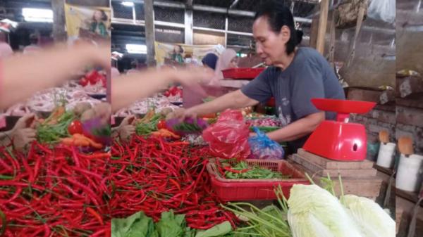 Pasokan Melimpah, Harga Cabai di Medan Terjun Bebas