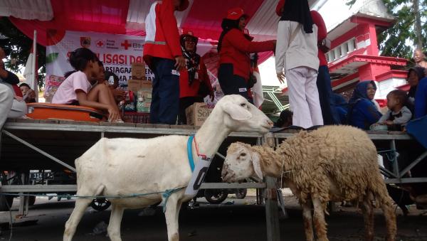 Unik Edukasi Bencana di Puger Wetan Dikemas Meriah, Warga Antusias Rebut Hadiah Kambing