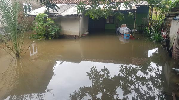 Curah Hujan Tinggi, Permukiman di Indramayu Terendam Banjir