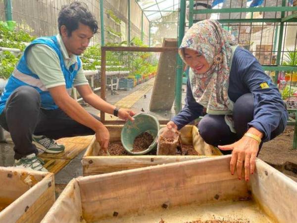 Warga Tanjung Mas Semarang Kembangkan Greenhouse, Solusi Ketahanan Pangan Perkotaan