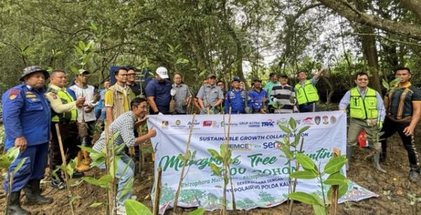 PAMA Perkuat Konservasi Lingkungan, Tanam Ratusan Bibit Mangrove dan Pohon Produktif di Balikpapan