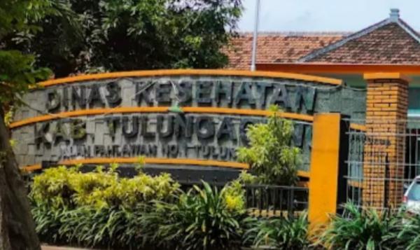 Pengadaan Internet Puskesmas 2026 Diduga Diatur Dinkes, LMP Tulungagung Bereaksi Keras