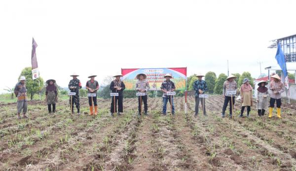 Polres Tebar Bibit Jagung di 27 Lokasi Seluas 22 Hektare, Wujudkan Ketahanan Pangan