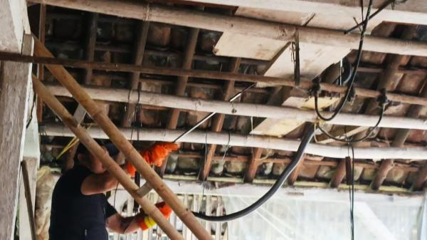 Bikin Tegang, Detik-detik Damkar Tarik King Kobra 2,5 Meter dari Atap Kandang