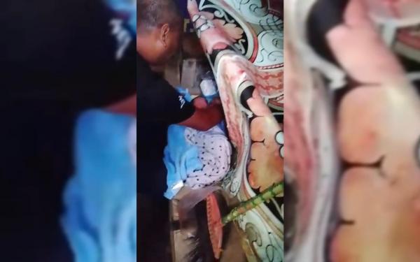 Bayi Laki-laki Ditemukan Hidup di Kolong Meja Warung di Lumajang, Kondisi Kedinginan