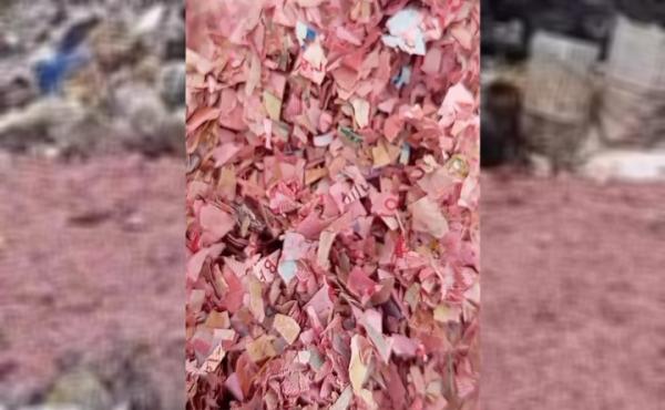 Viral! TPS Liar di Setu Bekasi Dipenuhi Diduga Cacahan Uang Rp100.000 dan Rp50.000