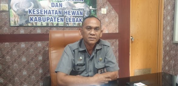 Lebak Kebagian 49 Ribu Ton Pupuk Subsidi, Disiapkan untuk Dongkrak Produktivitas Petani 2026