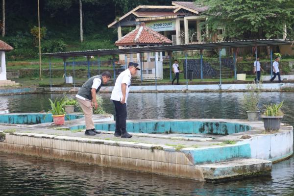 Kematian Ratusan Ikan Dewa di Balong Keramat Cigugur, Ditemukan Gejala Klinis Serius