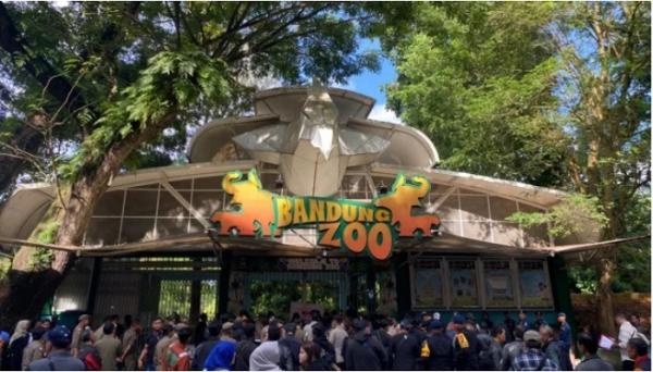 Pemerintah Lindungi Satwa dan Amankan Aset Daerah Kebun Binatang Bandung