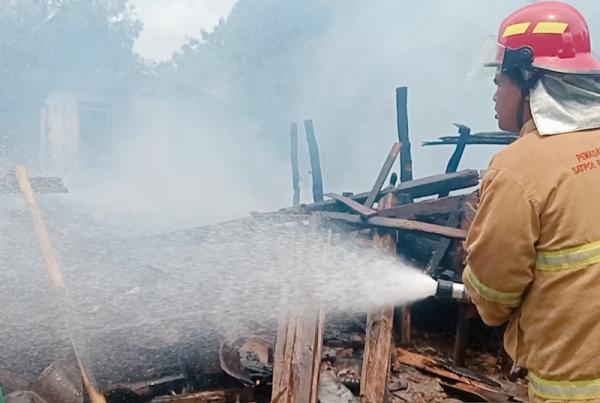 Ditinggal ke Sawah, Rumah Limasan Kayu Jati Senilai Rp150 Juta di Boloh Ludes Jadi Abu
