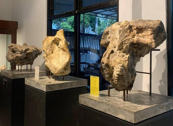 Museum Rajekwesi, Wisata Edukasi Gratis yang Menghidupkan Sejarah Bojonegoro