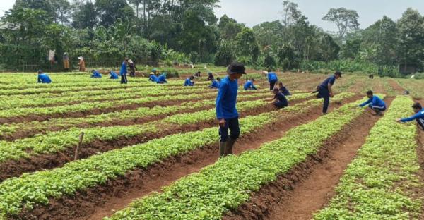 Gandeng Lapas, Purwakarta Berdayakan Warga Binaan Pasok Bahan Baku Makan Bergizi Gratis