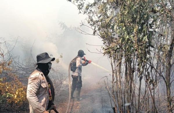 15 Hektare Lahan Terbakar, Tim Gabungan Berjibaku Padamankan Karhutla di Desa Damai Bengkalis