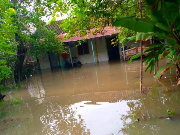 Sungai Pacal Meluap, Ratusan Rumah di 6 Desa Dilanda Banjir