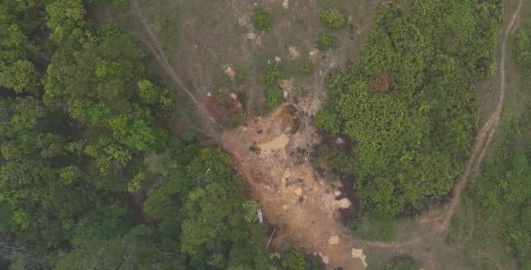 Dari Penyangga ke Jantung Konservasi: Penambangan Emas Liar Ancam Kawasan Taman Nasional Matalawa