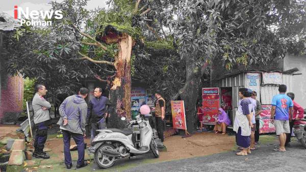 BREAKING NEWS: Hujan Disertai Angin Kencang, Pohon Tumbang Timpa Rumah Warga
